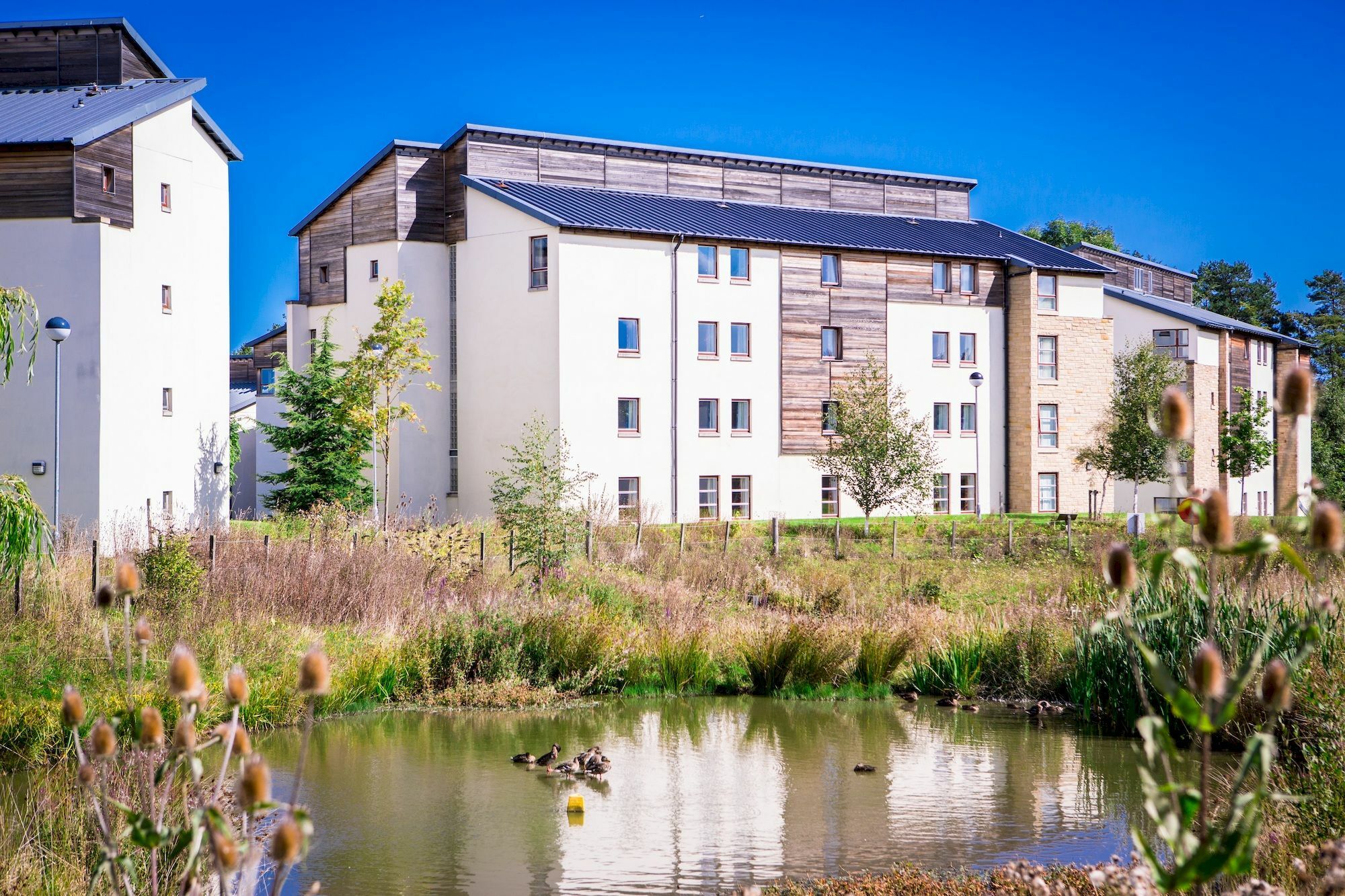 David Russell Apartments - Campus Accommodation St Andrews Exterior photo
